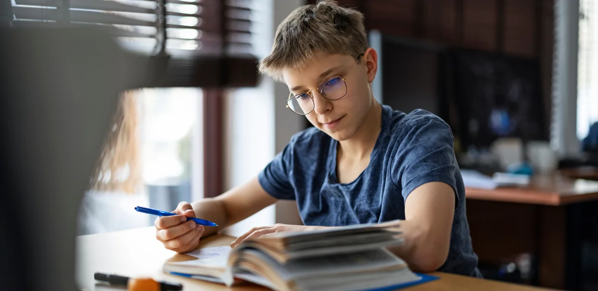 Boy studying